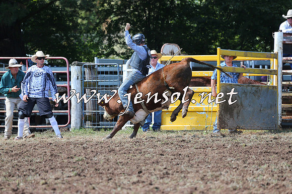 Taralga2015_1876