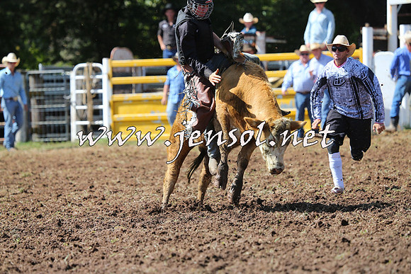 Taralga2015_1771