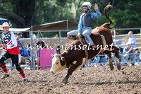 Taralga2015_1623