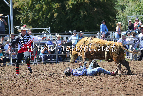Taralga2015_2091