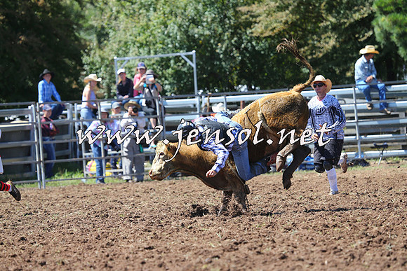 Taralga2015_2090