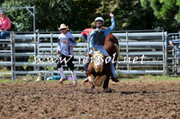 Taralga2015_1613
