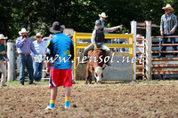 Taralga2015_1669