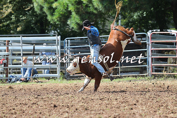 Taralga2015_1695