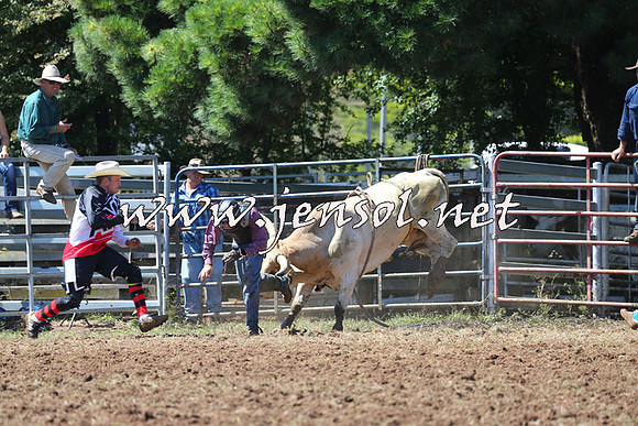 Taralga2015_1906