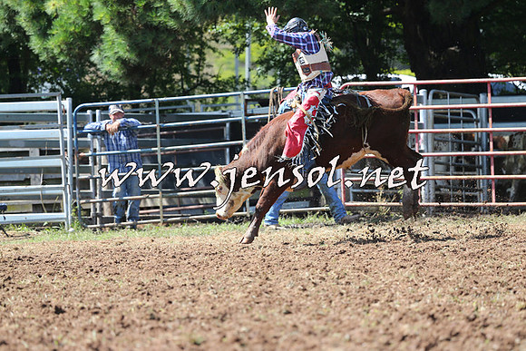 Taralga2015_1860