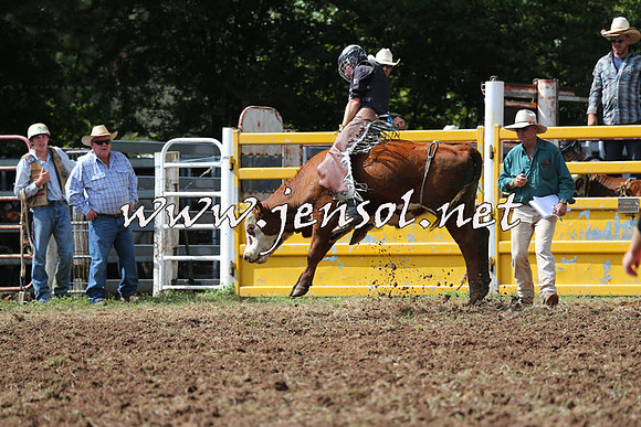 Taralga2015_1662