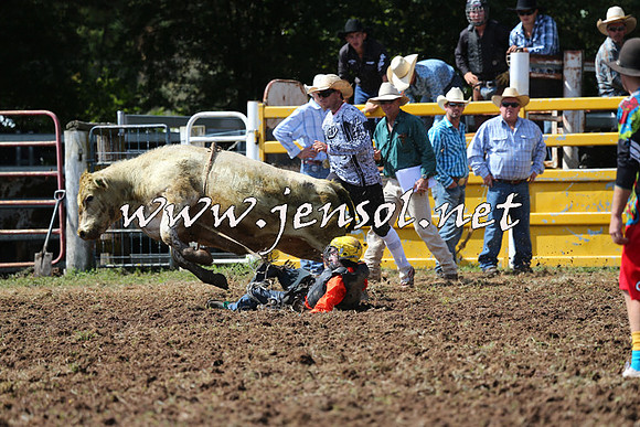 Taralga2015_1687