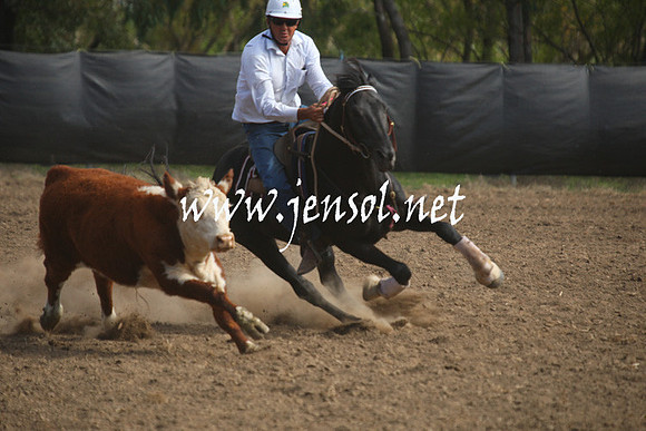 GundagaiGiddyup2013_1D_1940