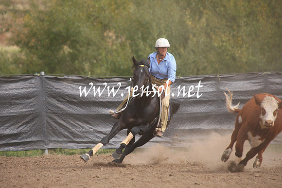 GundagaiGiddyup2013_1D_2009