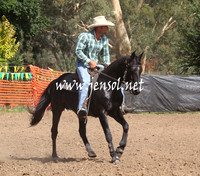 GundagaiGiddyup2013_5D_0460