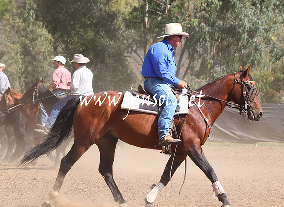GundagaiGiddyup2013_5D_0489