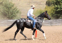 GundagaiGiddyup2013_5D_0500