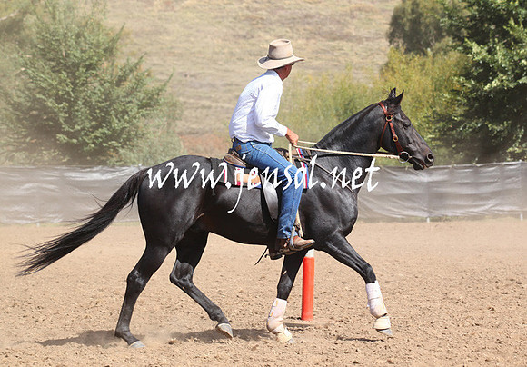GundagaiGiddyup2013_5D_0500