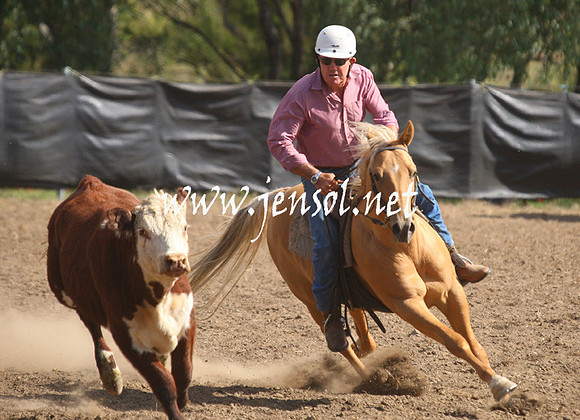 GundagaiGiddyup2013_1D_1919