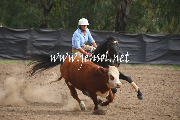 GundagaiGiddyup2013_1D_2016