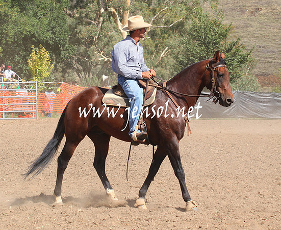 GundagaiGiddyup2013_5D_0553