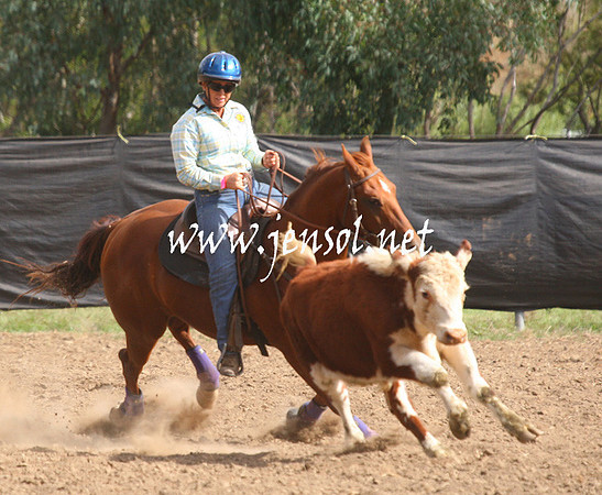 GundagaiGiddyup2013_1D_2001