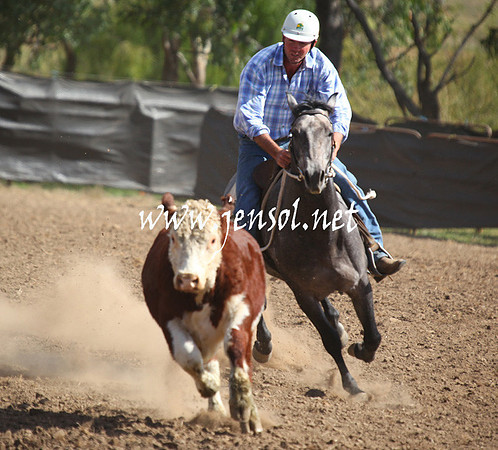 GundagaiGiddyup2013_5D_0579