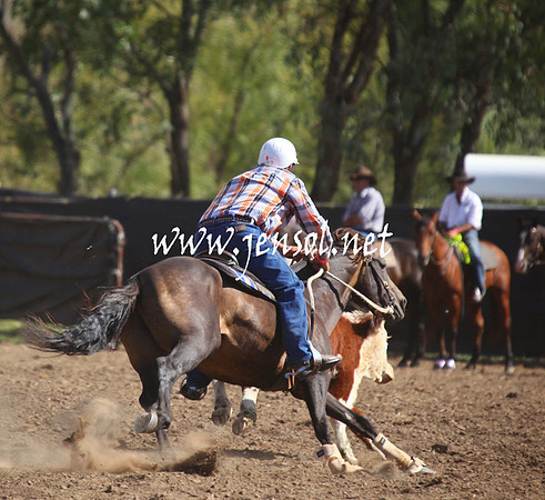 GundagaiGiddyup2013_5D_0596