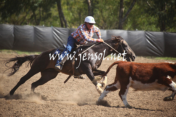 GundagaiGiddyup2013_5D_0589