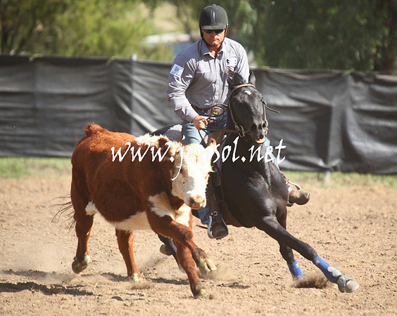GundagaiGiddyup2013_5D_0576