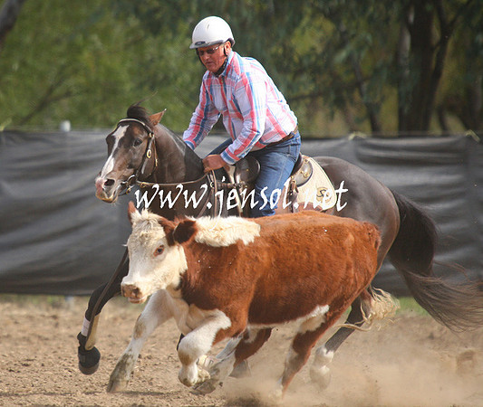 GundagaiGiddyup2013_1D_1993