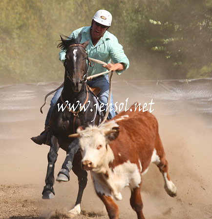 GundagaiGiddyup2013_1D_1924