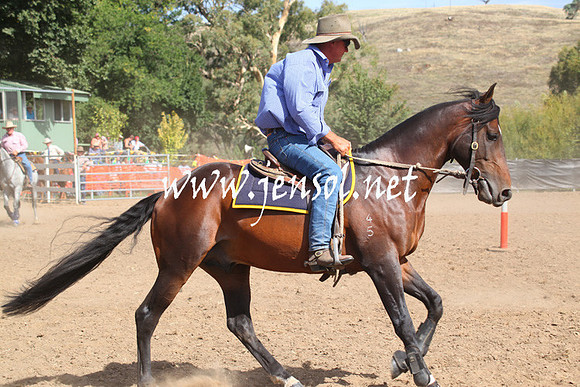 GundagaiGiddyup2013_5D_0555