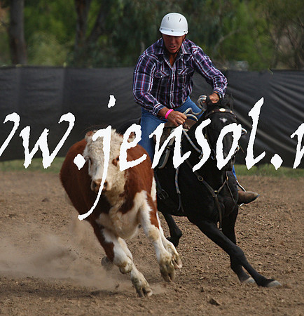 GundagaiGiddyup2013_1D_1959