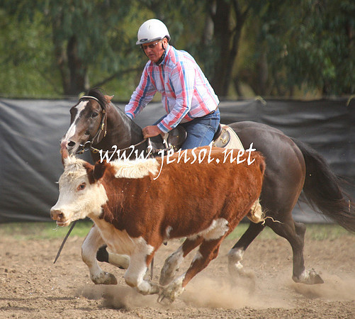 GundagaiGiddyup2013_1D_1994