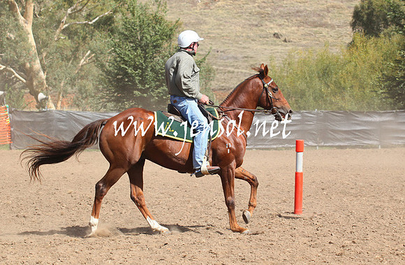 GundagaiGiddyup2013_5D_0502