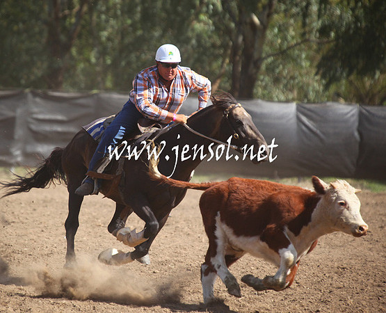 GundagaiGiddyup2013_5D_0591