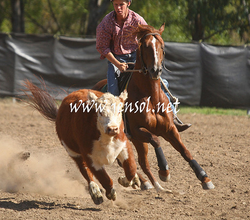 GundagaiGiddyup2013_1D_1892