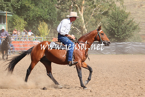 GundagaiGiddyup2013_5D_0506