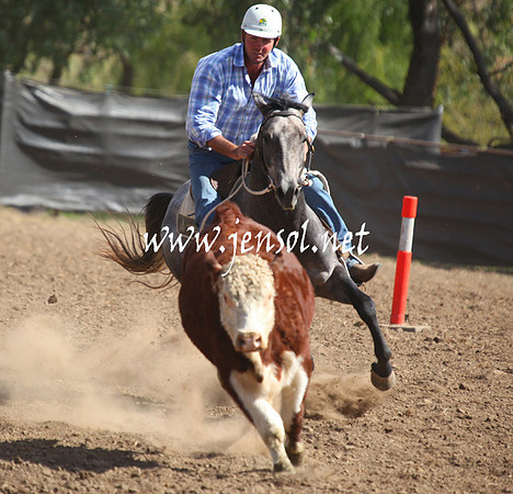 GundagaiGiddyup2013_5D_0580
