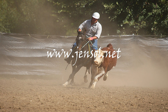 GundagaiGiddyup2013_1D_1898