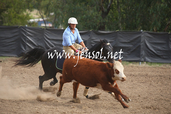 GundagaiGiddyup2013_1D_2014