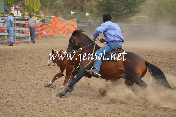 GundagaiGiddyup2013_1D_2075