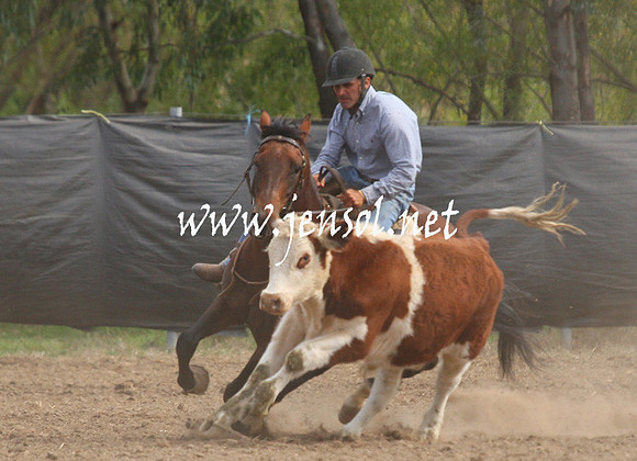GundagaiGiddyup2013_1D_2055