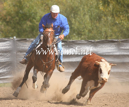 GundagaiGiddyup2013_1D_1907