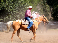 GundagaiGiddyup2013_5D_0492