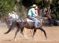 GundagaiGiddyup2013_5D_0493