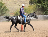 GundagaiGiddyup2013_5D_0509