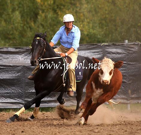 GundagaiGiddyup2013_1D_2006