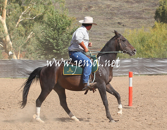 GundagaiGiddyup2013_5D_0485