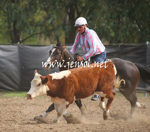 GundagaiGiddyup2013_1D_1992