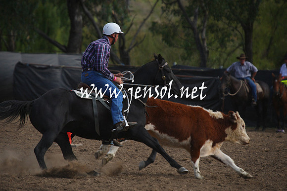 GundagaiGiddyup2013_1D_1968