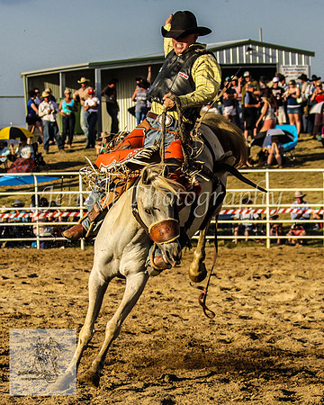 Goulburn 550