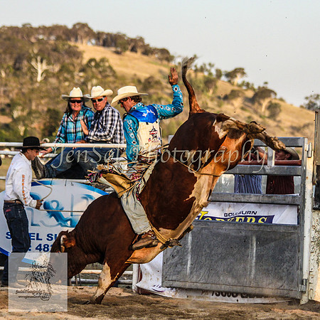 Goulburn 655